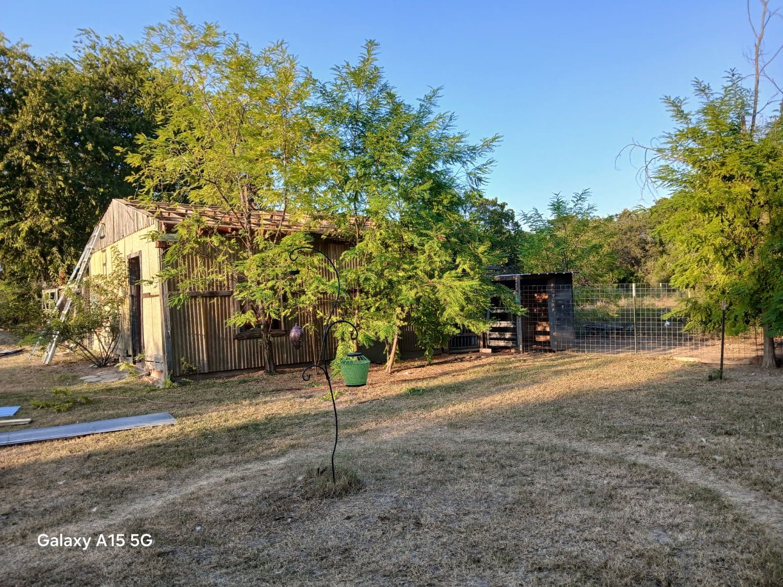 Project New Roof for the Chicken Coop image